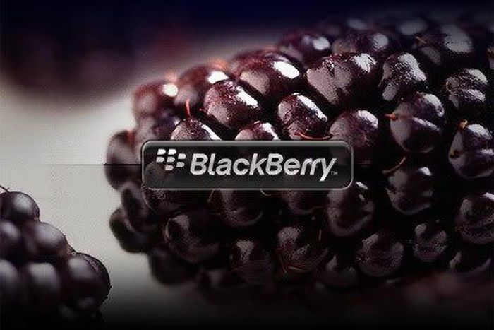 Blackberry Logo.