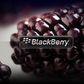 Blackberry Logo.