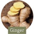 Ginger