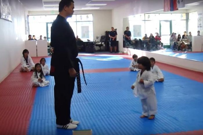 ___4067891___https:______static.pulse.com.gh___webservice___escenic___binary___4067891___2015___8___13___13___dp-little-boy-tries-to-break-board-taekwondo-video-20150810_1