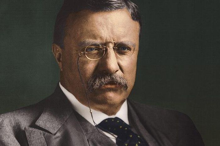 Theodore Roosevelt won the Nobel Peace Prize in 1906