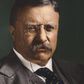Theodore Roosevelt won the Nobel Peace Prize in 1906