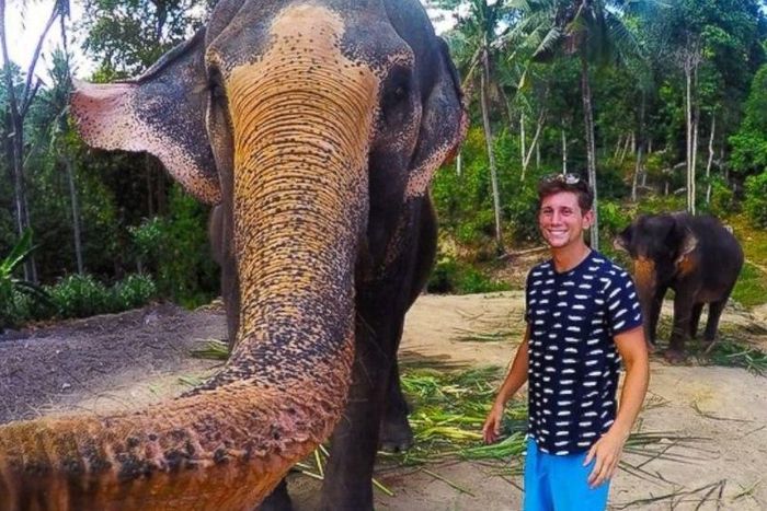 ___3797010___https:______static.pulse.com.gh___webservice___escenic___binary___3797010___2015___5___26___15___ht_animal_selfie_2_lb_150521_16x9_992