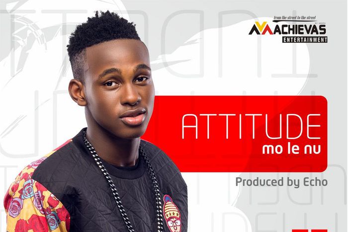 ___3928292___https:______static.pulse.com.gh___webservice___escenic___binary___3928292___2015___7___1___18___Online+Art+-+Single+Molenu+Attitude