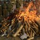 Conservation officials look on as they burn 2.5 tonnes of seized ivory and rhino horn in Maputo, July 6, 2015.   REUTERS/Grant Lee Neuenburg