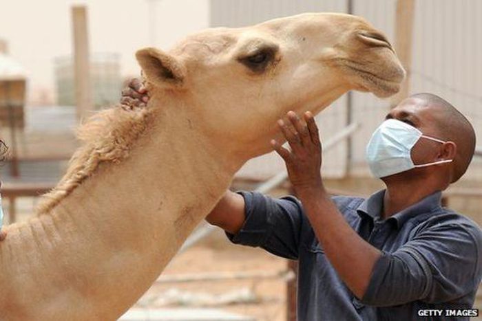 ___3858685___https:______static.pulse.com.gh___webservice___escenic___binary___3858685___2015___6___12___14____83574889_gettyimages-489723939