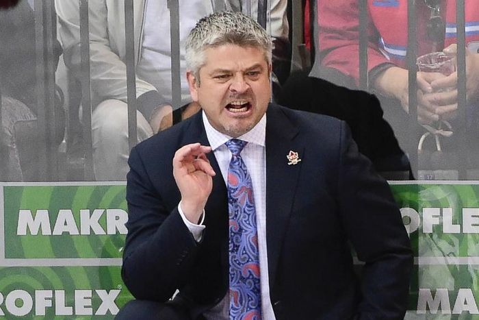 ___3776396___https:______static.pulse.com.gh___webservice___escenic___binary___3776396___2015___5___20___8___todd-mclellan-cropped_q68nvsdys5uf1e3gwi4lyg0n5_1