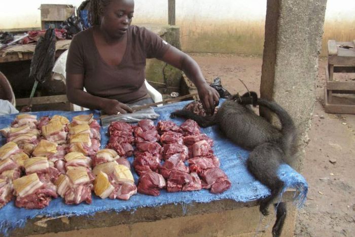 ___3934678___https:______static.pulse.com.gh___webservice___escenic___binary___3934678___2015___7___3___12___bushy