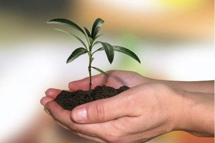 ___3851523___https:______static.pulse.com.gh___webservice___escenic___binary___3851523___2015___6___10___19___200907080828