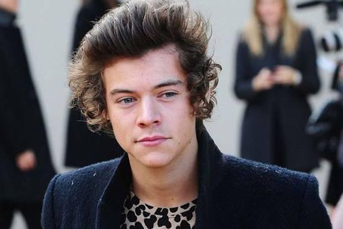 Harry Styles leaving One Direction?