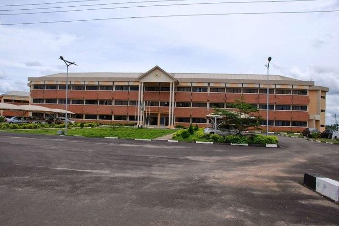 Don calls for resuscitation of reading culture