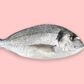 Fishy odour