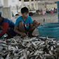 Thai fishermen strike over new rules imposed after EU's warning