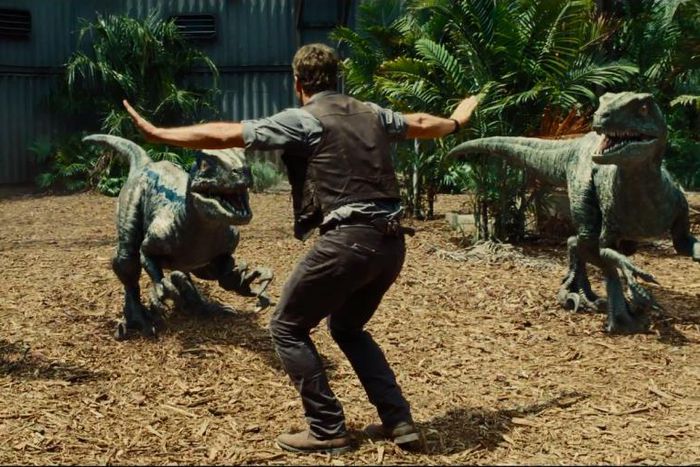 ___3682320___https:______static.pulse.com.gh___webservice___escenic___binary___3682320___2015___4___20___17___Chris-pratt-velociraptor-jurassic-world