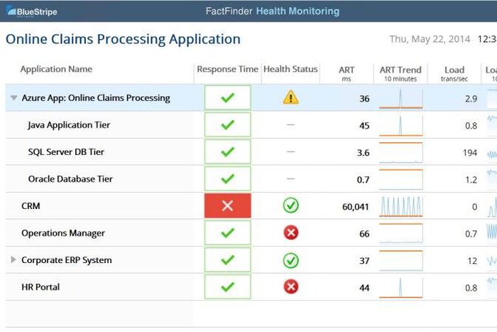 The BlueStripe application in use