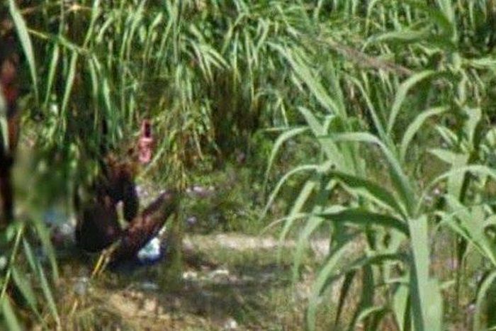 Bush sex leads to death.