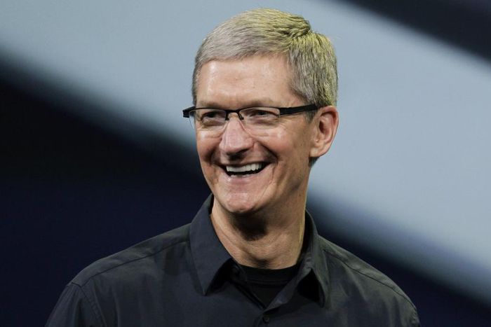 Apple CEO, Tim Cook