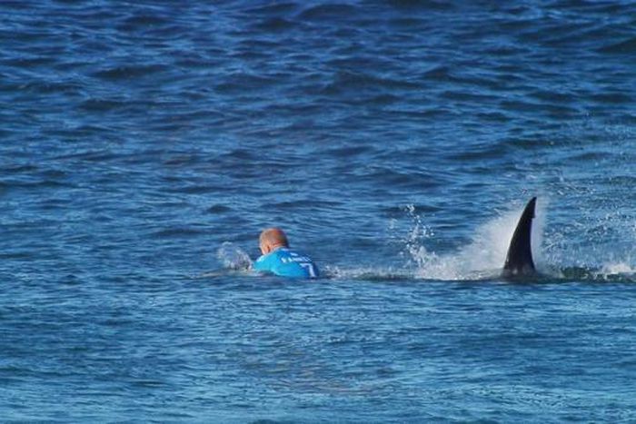 Australian Fanning escapes shark attack in J-Bay final