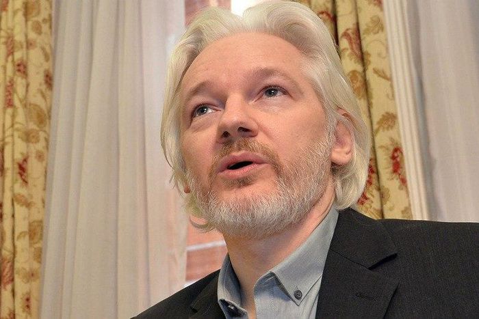 WikiLeaks founder, Julian Assange