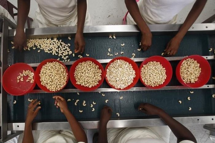 Workers handle cashew nuts at a processing plant in Bouake February 23, 2012. 
REUTERS/ Thierry Gouegnon