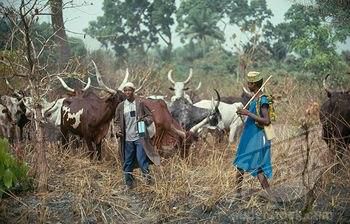 Fulani herdsmen (File Photo)