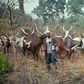 Fulani herdsmen (File Photo)