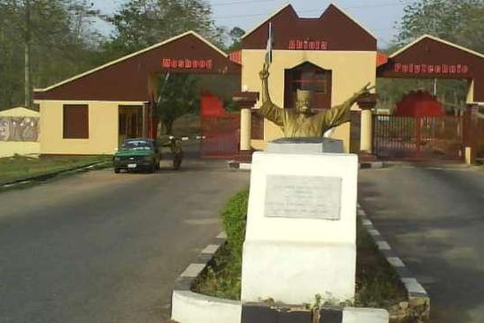 MAPOLY is your one-stop shop for all sorts of violence