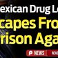 Mexican drug lord Guzman from prison via 1.5 km tunnel