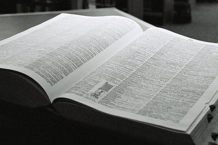 ___3971149___https:______static.pulse.com.gh___webservice___escenic___binary___3971149___2015___7___14___14___dictionaryimage_wide-2f7638a80a4f62ce8acc36ff150a60868e761c44