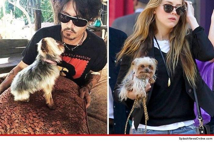 Johnny Depp and wife Amber Heard