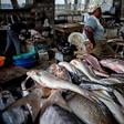 A fish market in Nigeria