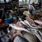 A fish market in Nigeria