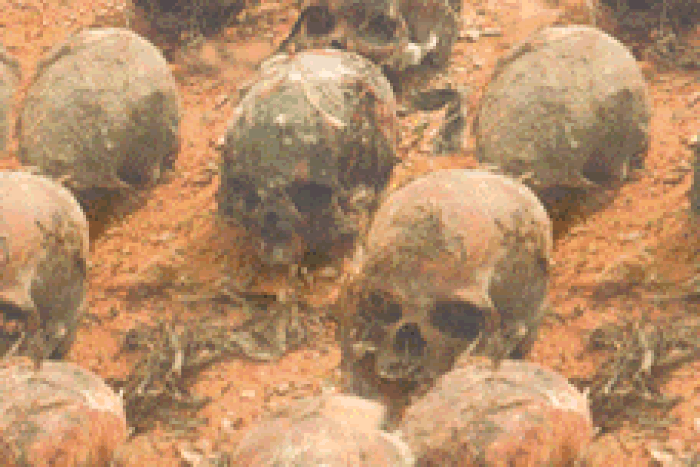 Okija shrine skulls