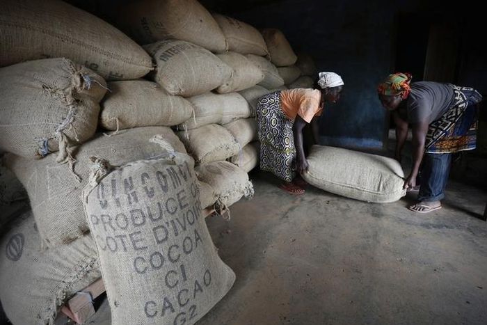 Women from a local cocoa farmers association called BLAYEYA lift a sack in a cocoa warehouse in Djangobo, Niable in eastern Ivory Coast, November 17, 2014. REUTERS/Thierry Gouegnon