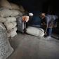 Women from a local cocoa farmers association called BLAYEYA lift a sack in a cocoa warehouse in Djangobo, Niable in eastern Ivory Coast, November 17, 2014. REUTERS/Thierry Gouegnon