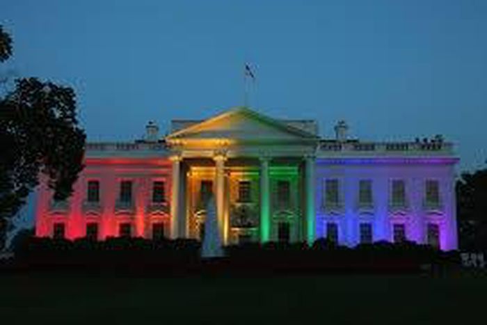 U.S. gay ruling inspires hope and revulsion in Africa