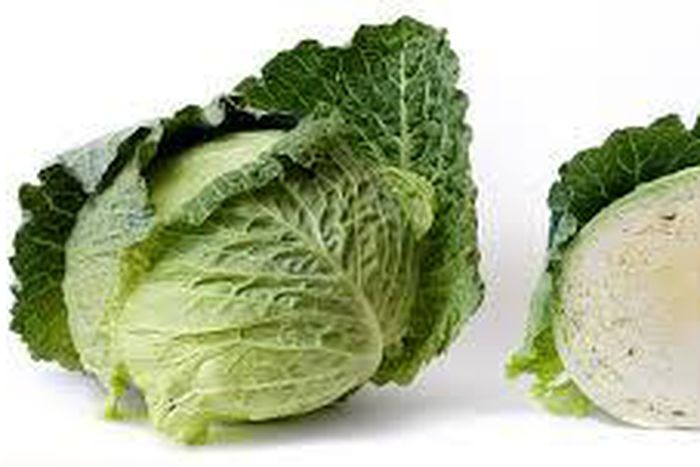 A head of Cabbage