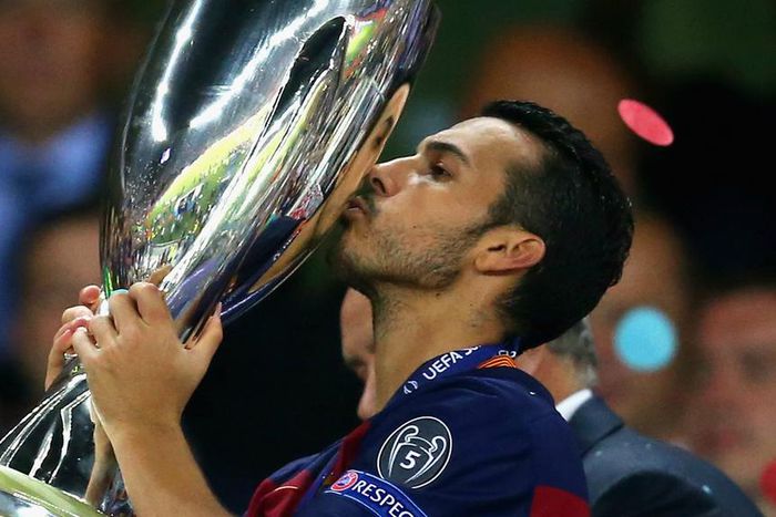 ___4062817___https:______static.pulse.com.gh___webservice___escenic___binary___4062817___2015___8___12___7___pedro-cropped_1192foccfvint1aeyc42gm8f8x_1