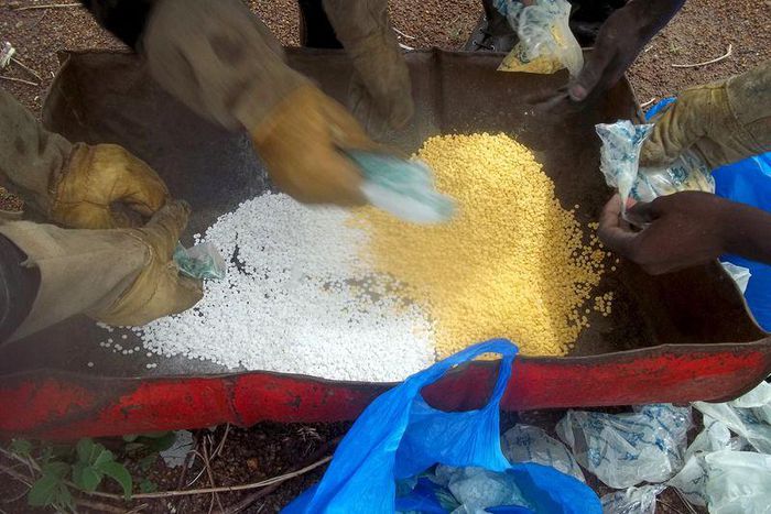 Senegalese police prepare to incinerate methamphetamines seized at the Malian border in Tambacounda, Senegal, June 29, 2014.     REUTERS/Pape Demba Sidibe
