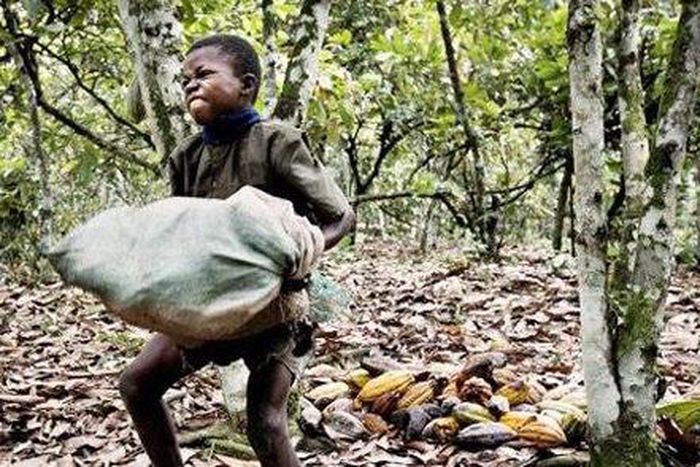 Government frees 48 child slaves, arrests traffickers