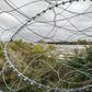 Tamaulipas has become one of the most violent states in Mexico as rival drug cartels fight each other for its strategic position on the US border