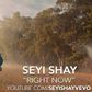 Seyi Shay