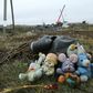 A year after MH17 downed, families want justice