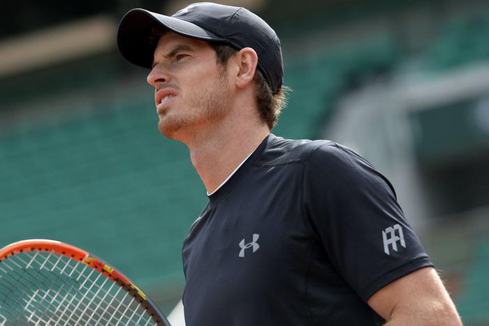 ___3788425___https:______static.pulse.com.gh___webservice___escenic___binary___3788425___2015___5___23___13___andymurray-cropped_q5jmlrbowk1s1dpu88g7azmr1