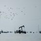 Maurel & Prom's investment will give the company a 40 percent stake in the exploitation of the oil field in the region of Maracaibo Lake, oil minister Manuel Quevedo said