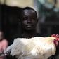 A man poses with a chicken at a local market in Gombe state, January 30, 2015. REUTERS/ Afolabi Sotunde