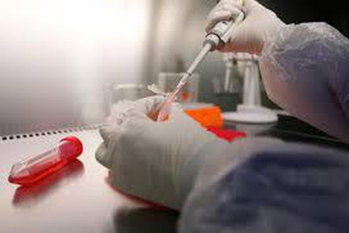 ___4026411___https:______static.pulse.com.gh___webservice___escenic___binary___4026411___2015___7___30___13___images