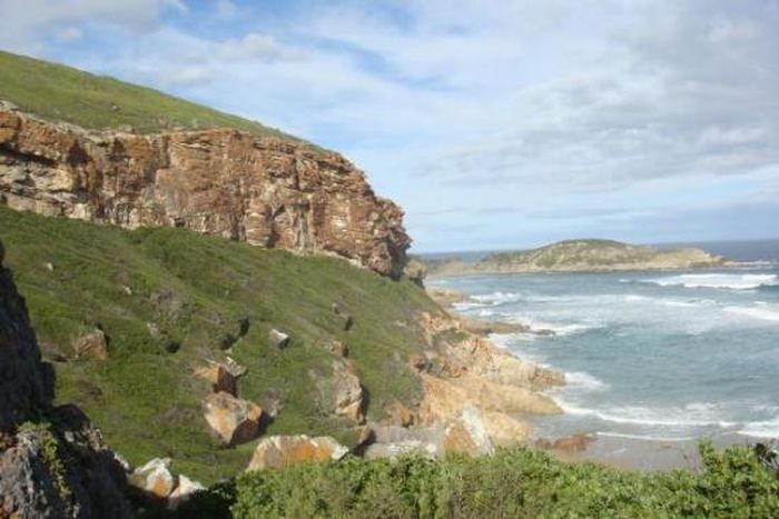 ___3793784___https:______static.pulse.com.gh___webservice___escenic___binary___3793784___2015___5___25___14___robberg-nature-reserve