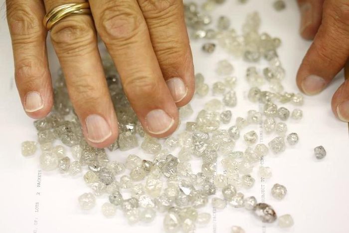 Diamond buyer Elliot Tannenbaum, from the Leo Schachter Diamond Group, looks at uncut diamonds from his company's allocation at a sightholders week at De Beers offices in central London August 29, 2013.     REUTERS/Olivia Harris