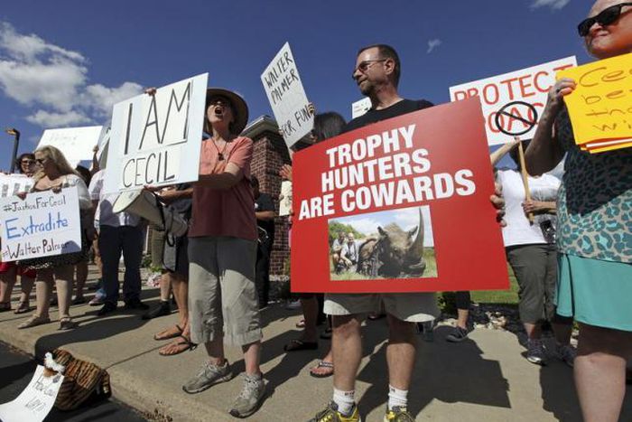 After Cecil outcry, major U.S. airlines end trophy hunter shipments